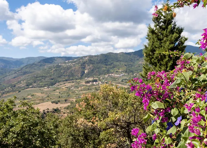 Sciarammola 3* 파티