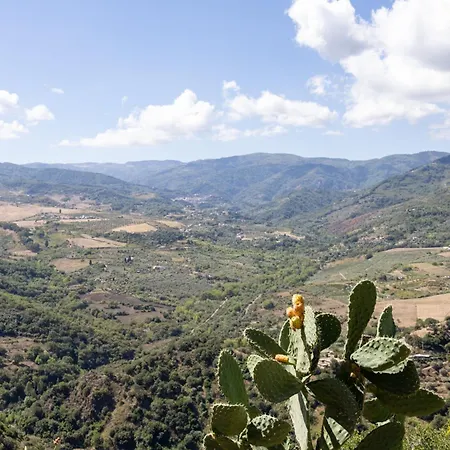 Sciarammola 3*
