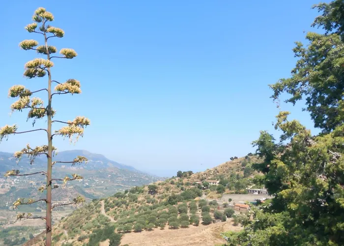 Sciarammola 3*